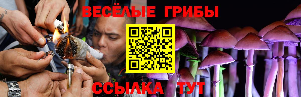 Псилоцибиновые грибы Psilocybine cubensis  Вход с VPN  Елец 